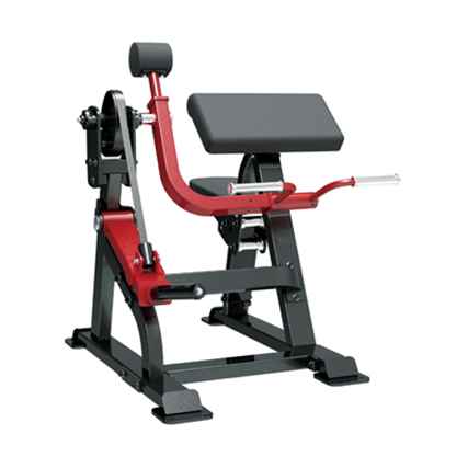 GymGear Sterling Series Bicep Curl