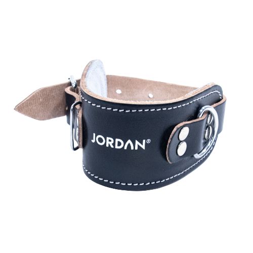 Jordan Leather Ankle Straps Pair