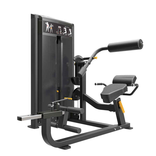 GymGear Pro Series Ab / Back Machine Black