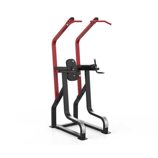 GymGear Sterling Series Vertical Knee Raise / Chin Up Dip Frame